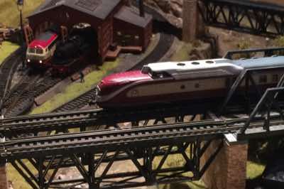 VT11.5 diesel TEE crossing the Poggenbach.